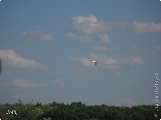 Летит. (фото 24)