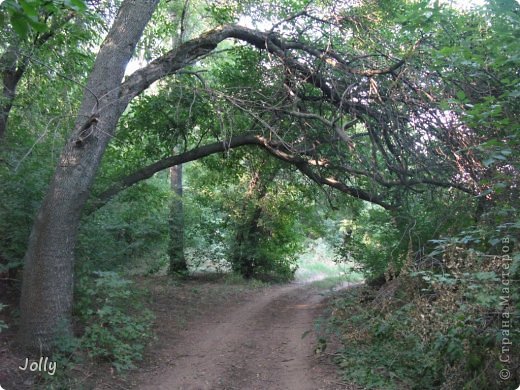 Дорога продолжается вдоль берега (фото 25)