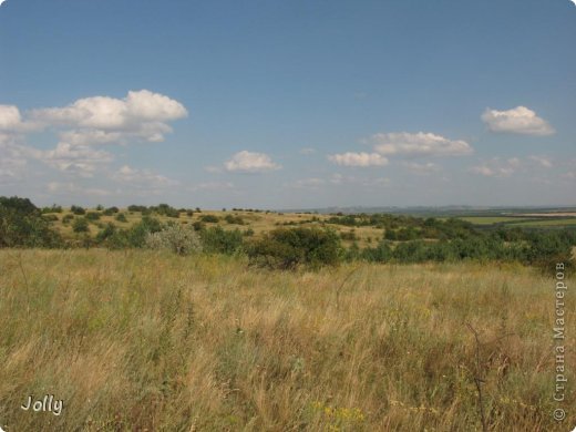 Степь. (фото 5)