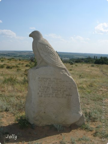 И его любимый сокол. (фото 8)