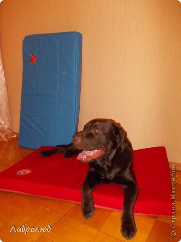 собачьи сумочки для лакомств, коврики и одежда для собак (фото 15)