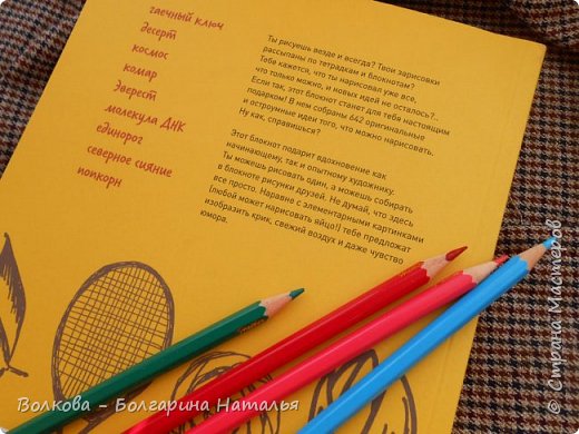 164996 dscn5012 книга 642 идеи что нарисовать