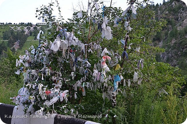 По пути увидели дерево Желаний! Здесь каждый может привязать кусочек тряпочки, платочек, да всё что есть под рукой)))))))и загадать желание! (фото 17)