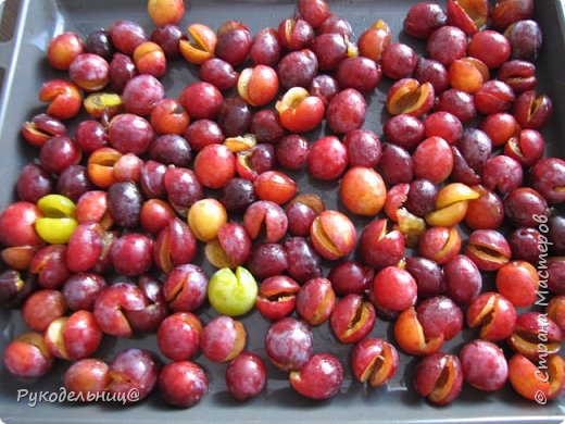 смоква рецепт в сушилке. Смотреть фото смоква рецепт в сушилке. Смотреть картинку смоква рецепт в сушилке. Картинка про смоква рецепт в сушилке. Фото смоква рецепт в сушилке смоква рецепт в сушилке. Смотреть фото смоква рецепт в сушилке. Смотреть картинку смоква рецепт в сушилке. Картинка про смоква рецепт в сушилке. Фото смоква рецепт в сушилке