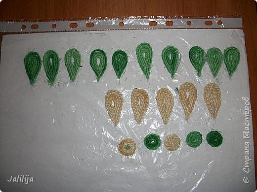 Нужно 10 зелёных, 5 белых, 3 сердцевинки зелёные, две - белые. (фото 19)