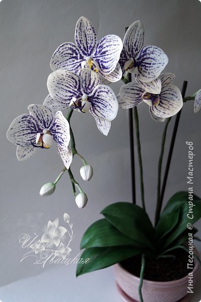 Орхидея из фоамирана своими руками с пошаговым фото для начинающих