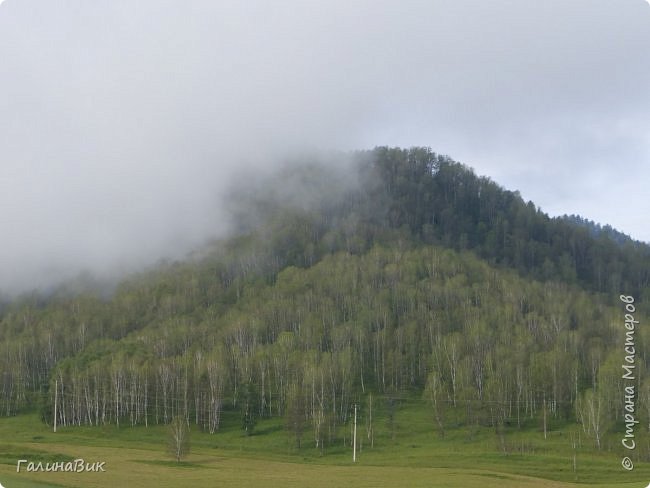 Алтай. Село Черга. Часть 1. (фото 4)
