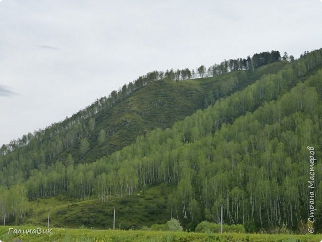 Алтай. Село Черга. Часть 1. (фото 3)