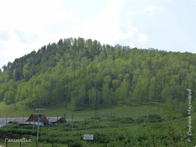 25 июля был организован поход на зообазу. Перед въездом в село Черга есть указатель "Зообаза", которая является и базой отдыха, и мини-зоопарком. Дорога оказалась длиннее, чем я предполагала. фото 1