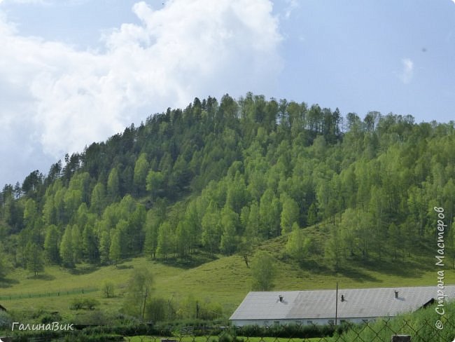 25 июля был организован поход на зообазу. Перед въездом в село Черга есть указатель "Зообаза", которая является и базой отдыха, и мини-зоопарком. Дорога оказалась длиннее, чем я предполагала. фото 3