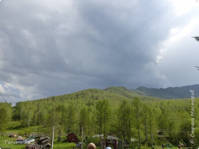 25 июля был организован поход на зообазу. Перед въездом в село Черга есть указатель "Зообаза", которая является и базой отдыха, и мини-зоопарком. Дорога оказалась длиннее, чем я предполагала. фото 5