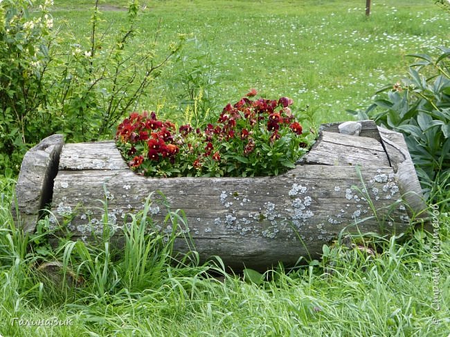 25 июля был организован поход на зообазу. Перед въездом в село Черга есть указатель "Зообаза", которая является и базой отдыха, и мини-зоопарком. Дорога оказалась длиннее, чем я предполагала. фото 26