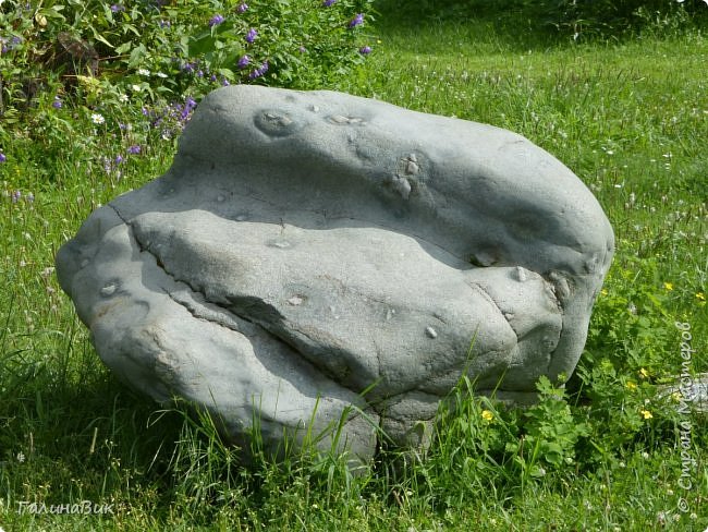 25 июля был организован поход на зообазу. Перед въездом в село Черга есть указатель "Зообаза", которая является и базой отдыха, и мини-зоопарком. Дорога оказалась длиннее, чем я предполагала. фото 27