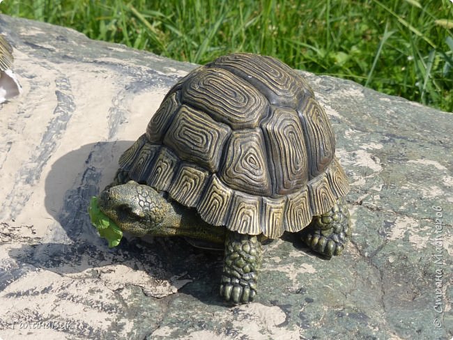 25 июля был организован поход на зообазу. Перед въездом в село Черга есть указатель "Зообаза", которая является и базой отдыха, и мини-зоопарком. Дорога оказалась длиннее, чем я предполагала. фото 32