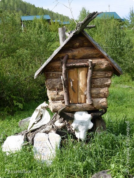 25 июля был организован поход на зообазу. Перед въездом в село Черга есть указатель "Зообаза", которая является и базой отдыха, и мини-зоопарком. Дорога оказалась длиннее, чем я предполагала. фото 35