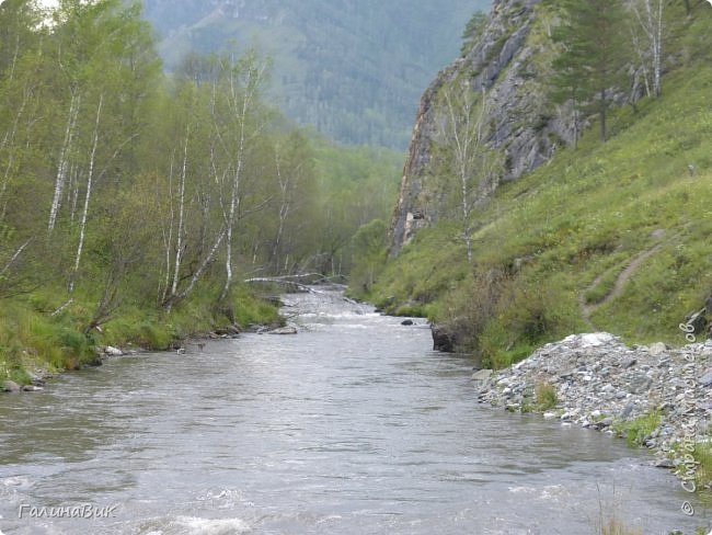 25 июля был организован поход на зообазу. Перед въездом в село Черга есть указатель "Зообаза", которая является и базой отдыха, и мини-зоопарком. Дорога оказалась длиннее, чем я предполагала. фото 36
