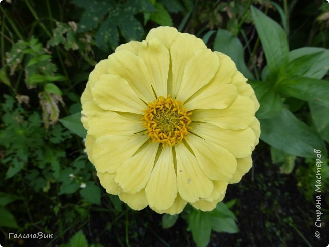 25 июля был организован поход на зообазу. Перед въездом в село Черга есть указатель "Зообаза", которая является и базой отдыха, и мини-зоопарком. Дорога оказалась длиннее, чем я предполагала. фото 22