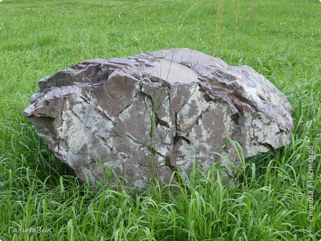 25 июля был организован поход на зообазу. Перед въездом в село Черга есть указатель "Зообаза", которая является и базой отдыха, и мини-зоопарком. Дорога оказалась длиннее, чем я предполагала. фото 28