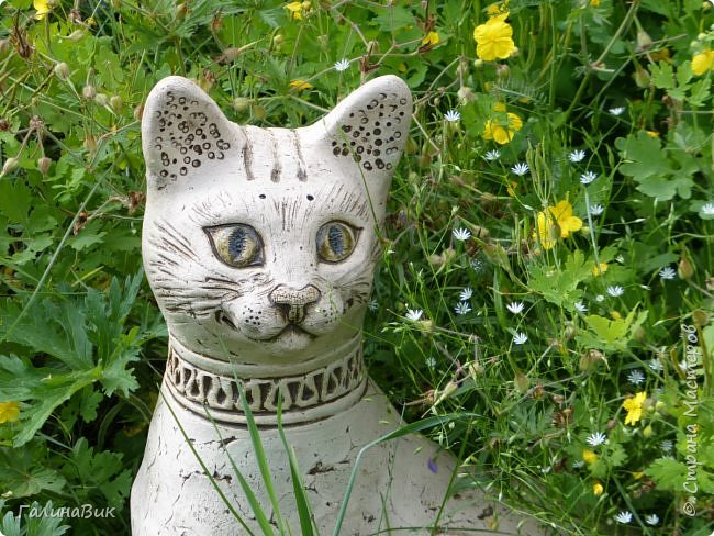 25 июля был организован поход на зообазу. Перед въездом в село Черга есть указатель "Зообаза", которая является и базой отдыха, и мини-зоопарком. Дорога оказалась длиннее, чем я предполагала. фото 33