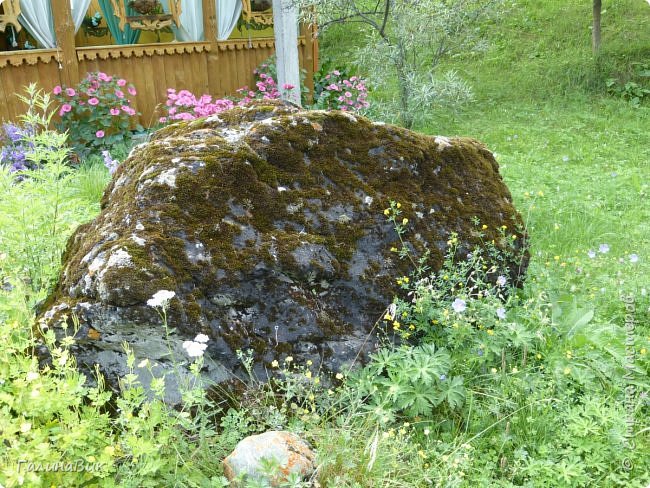 25 июля был организован поход на зообазу. Перед въездом в село Черга есть указатель "Зообаза", которая является и базой отдыха, и мини-зоопарком. Дорога оказалась длиннее, чем я предполагала. фото 29