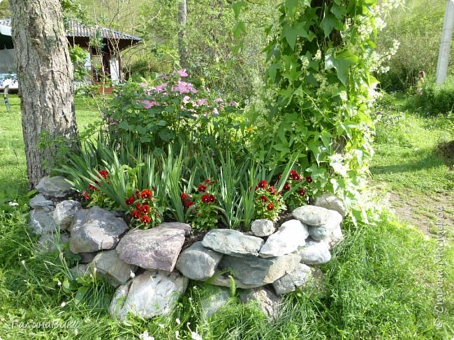 25 июля был организован поход на зообазу. Перед въездом в село Черга есть указатель "Зообаза", которая является и базой отдыха, и мини-зоопарком. Дорога оказалась длиннее, чем я предполагала. фото 19