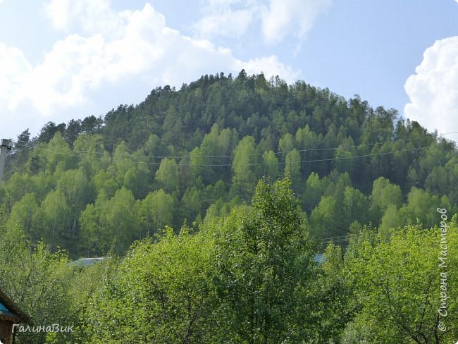 25 июля был организован поход на зообазу. Перед въездом в село Черга есть указатель "Зообаза", которая является и базой отдыха, и мини-зоопарком. Дорога оказалась длиннее, чем я предполагала. фото 4