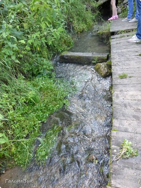 25 июля был организован поход на зообазу. Перед въездом в село Черга есть указатель "Зообаза", которая является и базой отдыха, и мини-зоопарком. Дорога оказалась длиннее, чем я предполагала. фото 41