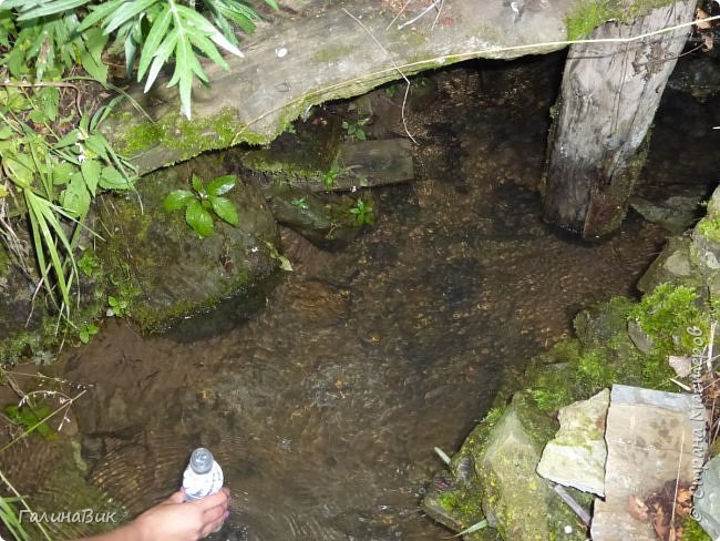 25 июля был организован поход на зообазу. Перед въездом в село Черга есть указатель "Зообаза", которая является и базой отдыха, и мини-зоопарком. Дорога оказалась длиннее, чем я предполагала. фото 40