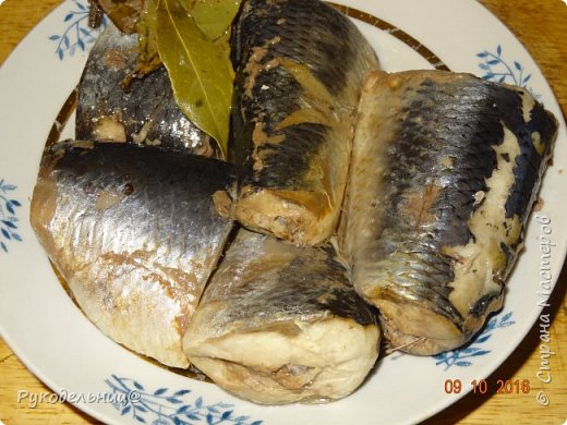 Можно ли варить селедку. Можно ли варить селедку. Вареная селедка. Вареная селедка. Можно ли варить селедку.