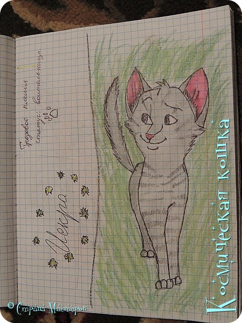 Что нарисовать коты воители. Смотреть фото Что нарисовать коты воители. Смотреть картинку Что нарисовать коты воители. Картинка про Что нарисовать коты воители. Фото Что нарисовать коты воители Что нарисовать коты воители. Смотреть фото Что нарисовать коты воители. Смотреть картинку Что нарисовать коты воители. Картинка про Что нарисовать коты воители. Фото Что нарисовать коты воители