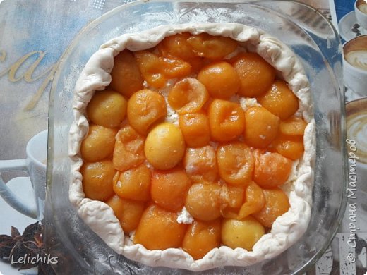 слоеный пирог с абрикосами и творогом. Смотреть фото слоеный пирог с абрикосами и творогом. Смотреть картинку слоеный пирог с абрикосами и творогом. Картинка про слоеный пирог с абрикосами и творогом. Фото слоеный пирог с абрикосами и творогом слоеный пирог с абрикосами и творогом. Смотреть фото слоеный пирог с абрикосами и творогом. Смотреть картинку слоеный пирог с абрикосами и творогом. Картинка про слоеный пирог с абрикосами и творогом. Фото слоеный пирог с абрикосами и творогом