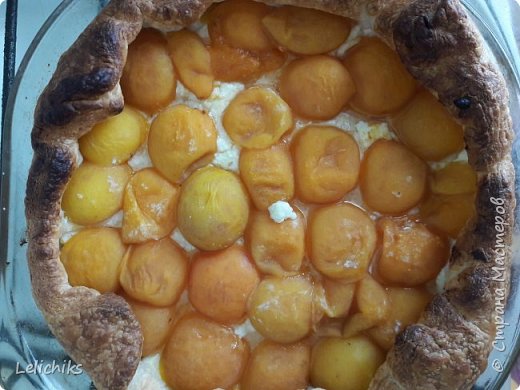 слоеный пирог с абрикосами и творогом. Смотреть фото слоеный пирог с абрикосами и творогом. Смотреть картинку слоеный пирог с абрикосами и творогом. Картинка про слоеный пирог с абрикосами и творогом. Фото слоеный пирог с абрикосами и творогом слоеный пирог с абрикосами и творогом. Смотреть фото слоеный пирог с абрикосами и творогом. Смотреть картинку слоеный пирог с абрикосами и творогом. Картинка про слоеный пирог с абрикосами и творогом. Фото слоеный пирог с абрикосами и творогом