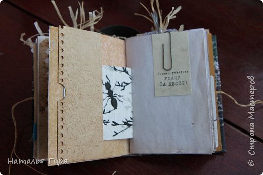 162628 trudis kak muravey джанкбук что это такое