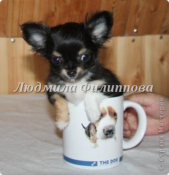 Удачи вам, дорогие творцы! Я хотел бы поделиться с вами своим следующим проектом. Лене и Анна Шеппер http://papermatrix.wordpress.com . Он выполнен в той же технике, которую я использовал в своих предыдущих работах, которые можно увидеть здесь https://stranamasterov.ru/node/502237, https://stranamasterov.ru/node/502237 , https://stranamasterov.ru/node/503528. фото 22