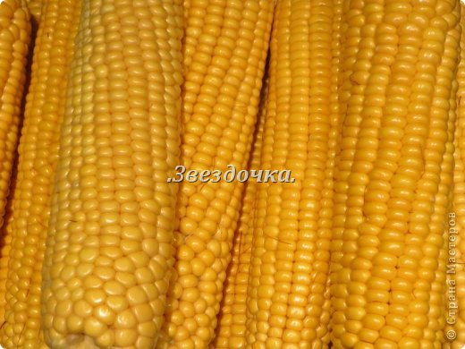 кукуруза в рукаве в духовке рецепт. Смотреть фото кукуруза в рукаве в духовке рецепт. Смотреть картинку кукуруза в рукаве в духовке рецепт. Картинка про кукуруза в рукаве в духовке рецепт. Фото кукуруза в рукаве в духовке рецепт кукуруза в рукаве в духовке рецепт. Смотреть фото кукуруза в рукаве в духовке рецепт. Смотреть картинку кукуруза в рукаве в духовке рецепт. Картинка про кукуруза в рукаве в духовке рецепт. Фото кукуруза в рукаве в духовке рецепт